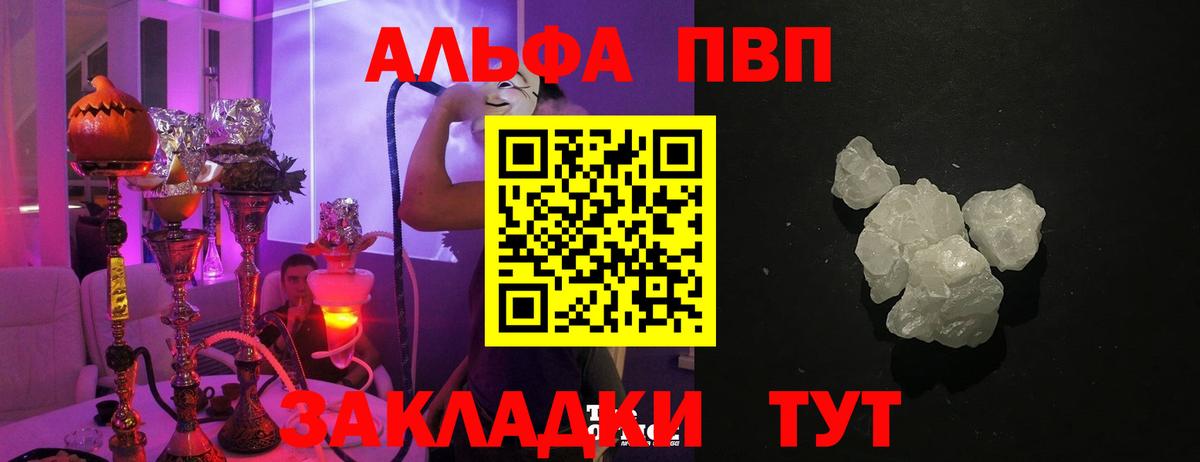 A PVP СК Долгопрудный