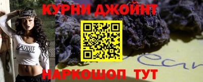 индика Лесосибирск