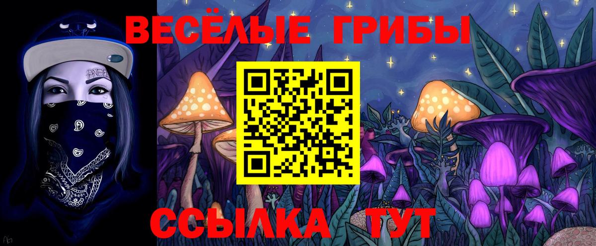 Долгопрудный  Галлюциногенные грибы мухоморы  Вход с VPN  Галлюциногенные грибы мицелий 